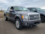 2012 Ford F-150 Platinum